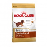 Dachshund Junior (Дашхунд юниур) (Royal Canin) 1,5кг
